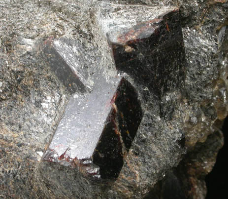 Staurolite in mica schist from Cook Road locality, Windham, Cumberland County, Maine