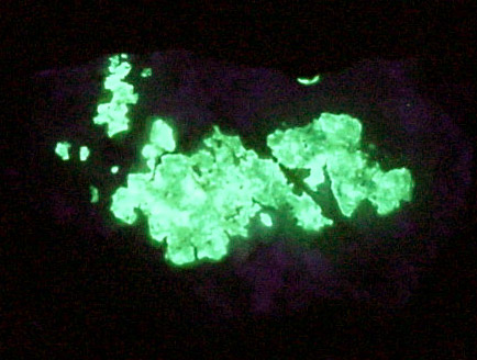 Opal var. Hyalite from Strickland Quarry, Collins Hill, Portland, Middlesex County, Connecticut