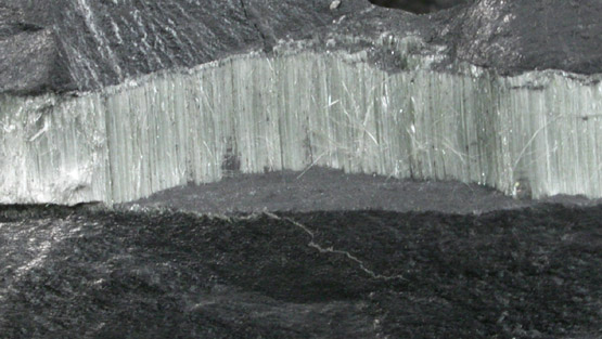 Asbestos (Clinochrysotile?) in shale from Coal mine near Providence, Providence County, Rhode Island