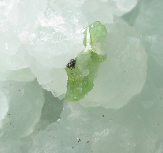 Prehnite with Sphalerite and Pectolite pseudomorphs after Analcime from O and G Industries Southbury Quarry, Southbury, New Haven County, Connecticut