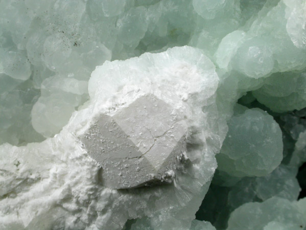 Prehnite with Sphalerite and Pectolite pseudomorphs after Analcime from O and G Industries Southbury Quarry, Southbury, New Haven County, Connecticut