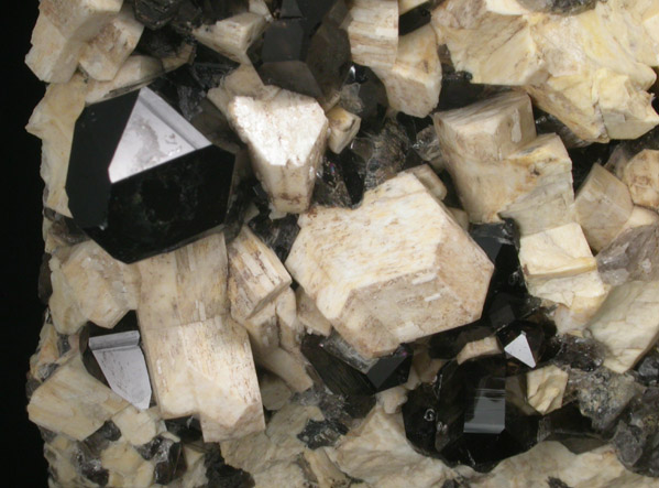Quartz var. Smoky Quartz on Microcline from Oliver Diggings, Moat Mountain, Hale's Location, Carroll County, New Hampshire