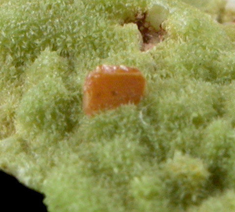 Wulfenite on Pyromorphite over Quartz from Manhan Lead Mines, Loudville District, 3 km northwest of Easthampton, Hampshire County, Massachusetts