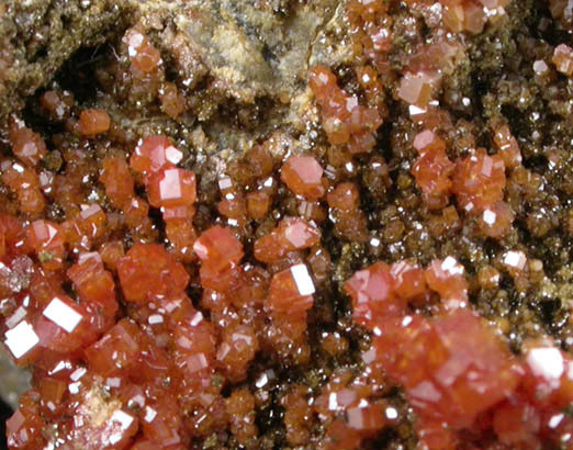 Vanadinite from Apache Mine (Vanadium Shaft), 8 km north of Globe, Gila County, Arizona