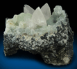 Calcite on Prehnite from Millington Quarry, Bernards Township, Somerset County, New Jersey