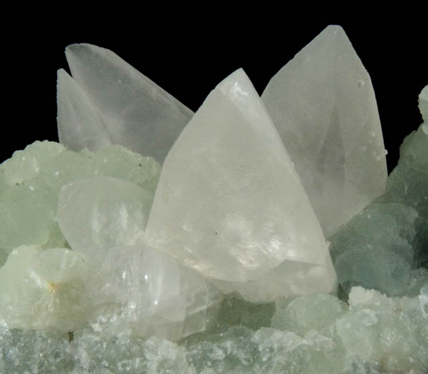 Calcite on Prehnite from Millington Quarry, Bernards Township, Somerset County, New Jersey