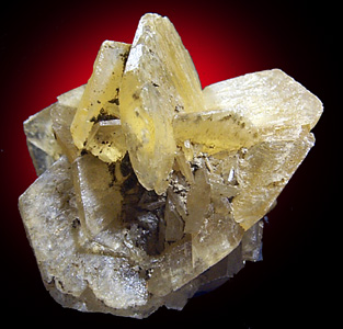 Gypsum var. Selenite from Willow Creek, naer Nanton, Alberta, Canada