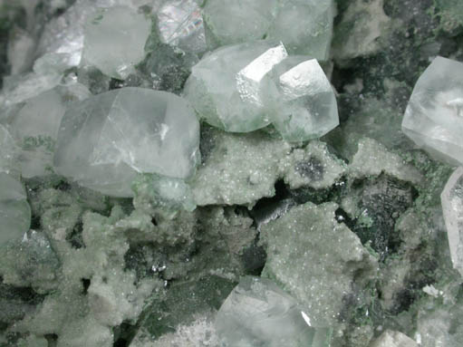 Calcite on Prehnite from O and G Industries Southbury Quarry, Southbury, New Haven County, Connecticut