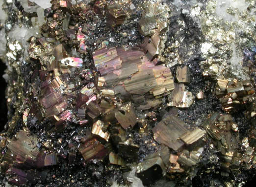 Pyrite and Quartz from Butte Mining District, Summit Valley, Silver Bow County, Montana