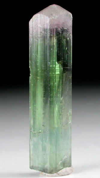 Elbaite Tourmaline from Minas Gerais, Brazil