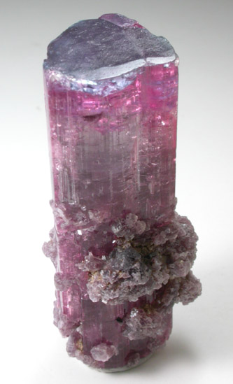 Elbaite var. Rubellite Tourmaline with Lepidolite from Jonas Mine, Conselheiro Pena, Minas Gerais, Brazil