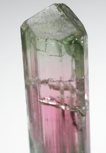 Elbaite Tourmaline from Minas Gerais, Brazil