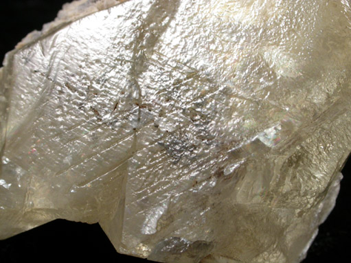 Calcite with Marcasite inclusions on Dolomite from Eastern Rock Products Quarry (Benchmark Quarry), St. Johnsville, Montgomery County, New York