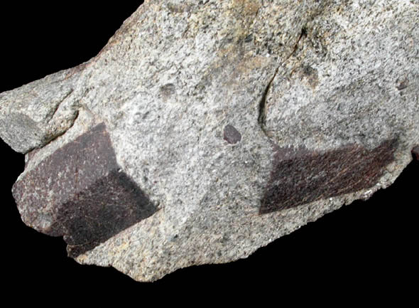 Staurolite and Almandine from Pond Hill, near Pearl Lake, Lisbon, Grafton County, New Hampshire