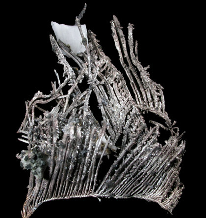 Silver from Andres del Rio District, Batopilas, Chihuahua, Mexico