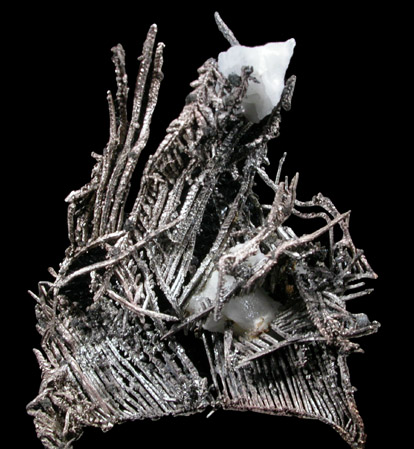 Silver from Andres del Rio District, Batopilas, Chihuahua, Mexico