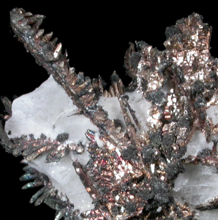 Silver in Calcite from Andres del Rio District, Batopilas, Chihuahua, Mexico