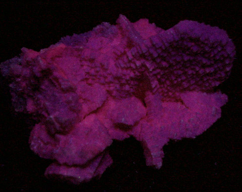 Calcite var. Manganocalcite from Pachapaqui District, Bolognesi Province, Ancash Department, Peru