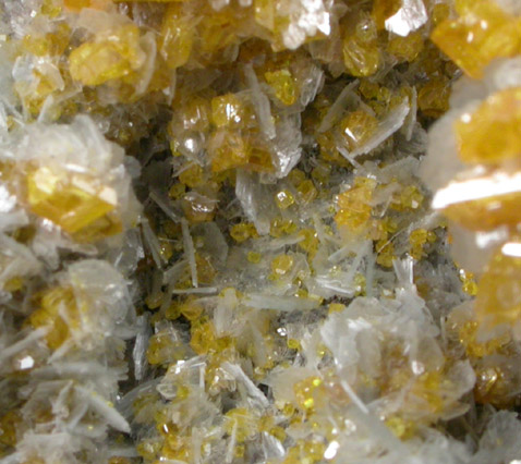 Wulfenite and Barite from Maoniuping Mine, Liangshan Autonomous Prefecture, Sichuan Province, China