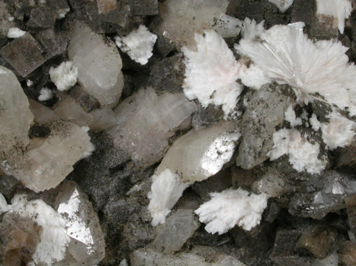 Heulandite-Ca from (BerufjrOur?), Iceland