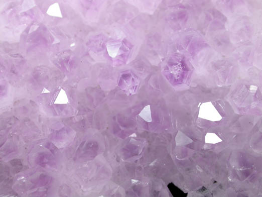 Quartz var. Amethyst from Guanajuato, Mexico