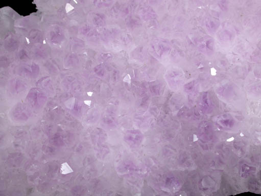 Quartz var. Amethyst from Guanajuato, Mexico