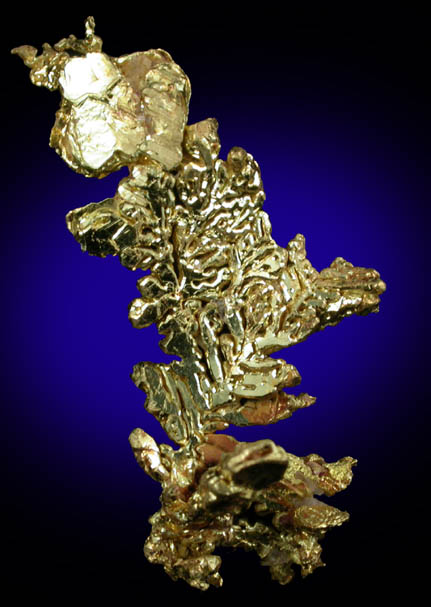 Gold from Eagle's Nest Mine, Michigan Bluff District, Placer County, California