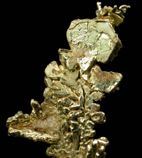 Gold from Eagle's Nest Mine, Michigan Bluff District, Placer County, California