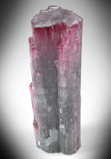 Elbaite Tourmaline from Pederneira Mine, Sao Jose da Safira, Minas Gerais, Brazil