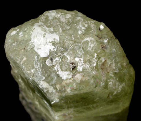 Beryl from Mount Tom, East Haddam, Middlesex County, Connecticut