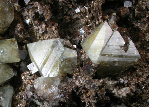 Wardite on Siderite from Rapid Creek, 70 km northwest of Aklavik, Yukon, Canada