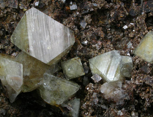 Wardite on Siderite from Rapid Creek, 70 km northwest of Aklavik, Yukon, Canada