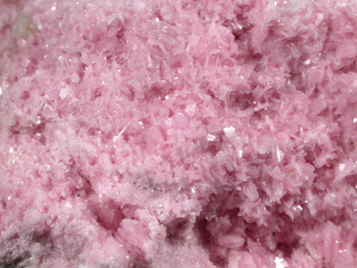 Rhodonite with Axinite-(Mn) from Pachapaqui District, Bolognesi Province, Ancash Department, Peru