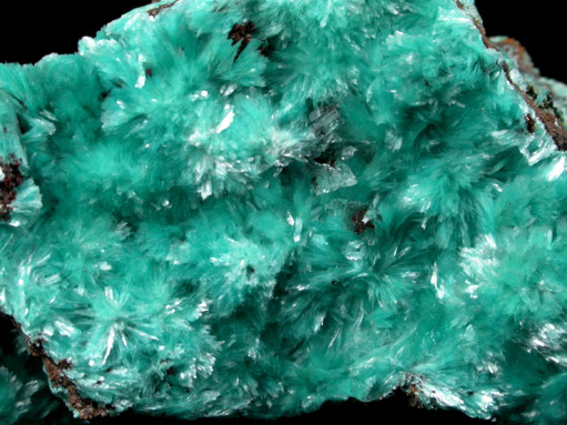 Aurichalcite from Mapimi District, Durango, Mexico