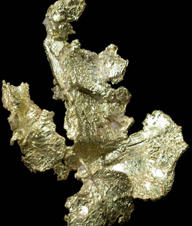 Gold (crystallized leaf) from Harvard Open Pit Mine, Jamestown Mining District, Tuolumne County, California