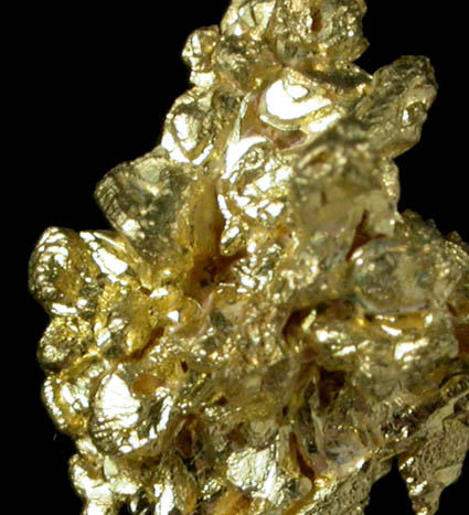 Gold (crystallized) from Eagle's Nest Mine, Michigan Bluff District, Placer County, California