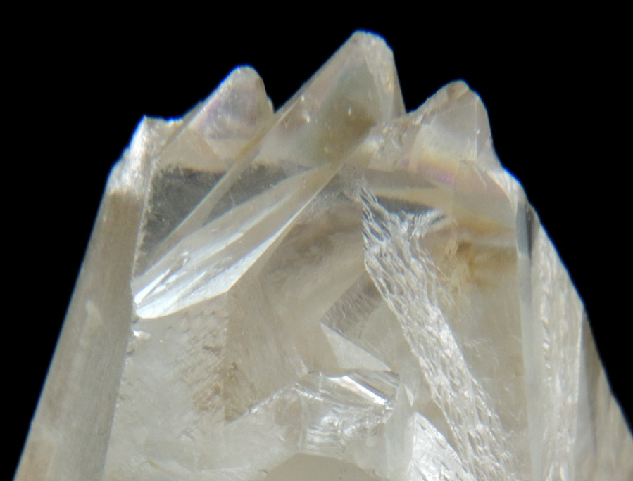 Topaz from Devil's Head, Rampart Range, 25 km swouthwest of Castle Rock, Douglas County, Colorado