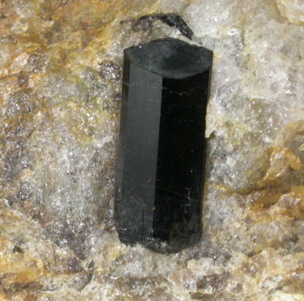 Schorl Tourmaline from Williamson Mine, Cahuilla, Riverside County, California