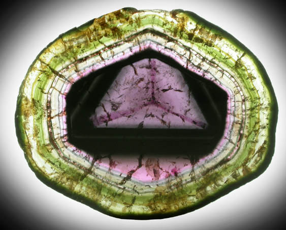 Liddicoatite Tourmaline from Antsirabe, Fianarantsoa, Haute Matsiatra, Madagascar (Type Locality for Liddicoatite = near Antsirab)