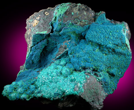 Cornetite, Malachite, Chrysocolla from L'Etoile du Congo Mine, Lubumbashi, Katanga Copperbelt, Haut-Katanga Province, Democratic Republic of the Congo (Type Locality for Cornetite)