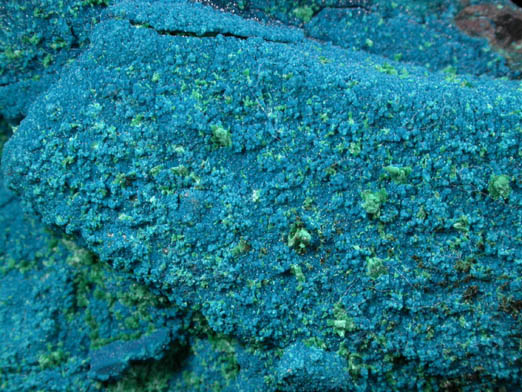 Cornetite, Malachite, Chrysocolla from L'Etoile du Congo Mine, Lubumbashi, Katanga Copperbelt, Haut-Katanga Province, Democratic Republic of the Congo (Type Locality for Cornetite)