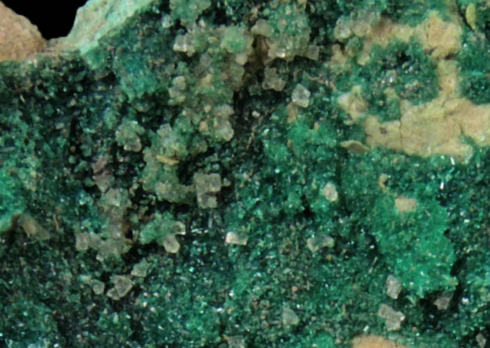 Brochantite from Buckskin Mountains, La Paz County, Arizona