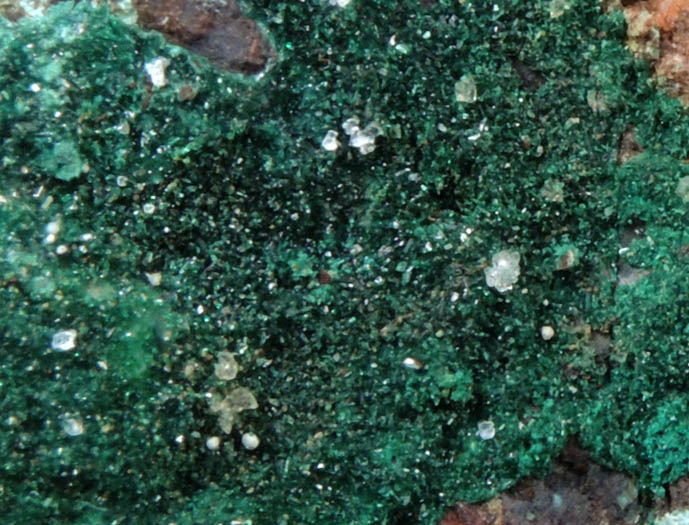 Brochantite from Buckskin Mountains, La Paz County, Arizona