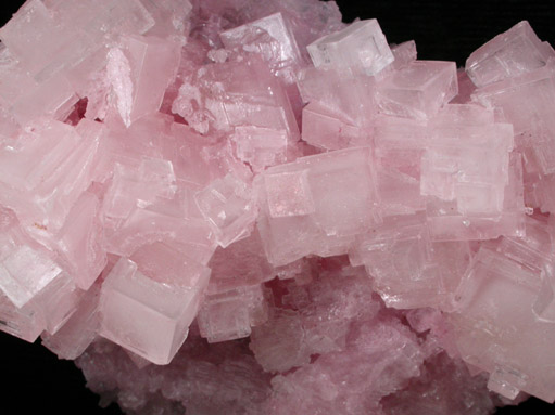 Halite from Searles Lake, east of Trona, San Bernardino County, California