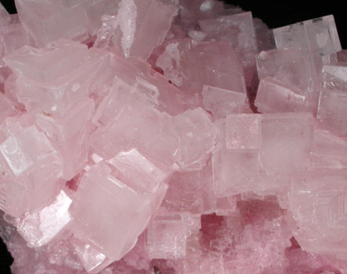 Halite from Searles Lake, east of Trona, San Bernardino County, California