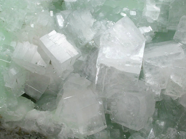 Hydroxyapophyllite-(K) (formerly apophyllite-(KOH)) on Prehnite from Fairfax Quarry, 6.4 km west of Centreville, Fairfax County, Virginia