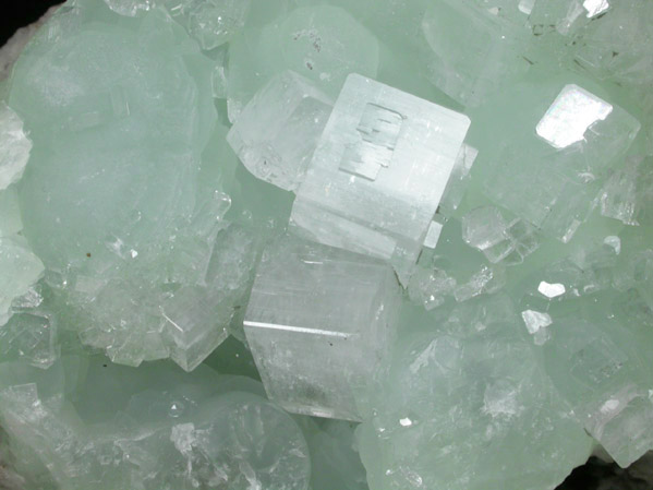 Hydroxyapophyllite-(K) (formerly apophyllite-(KOH)) on Prehnite from Fairfax Quarry, 6.4 km west of Centreville, Fairfax County, Virginia