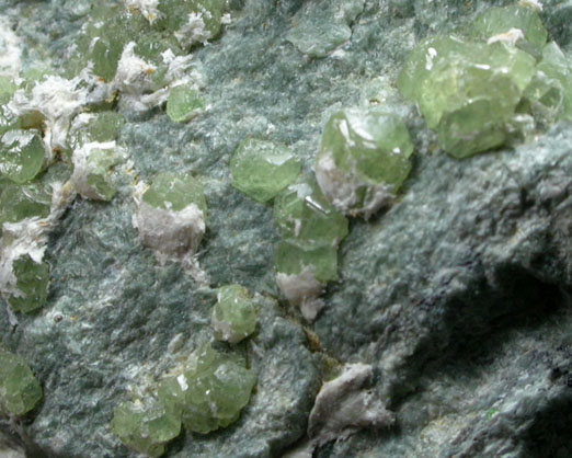 Andradite Garnet var. Demantoid from Val Malenco, Lombardi, Italy