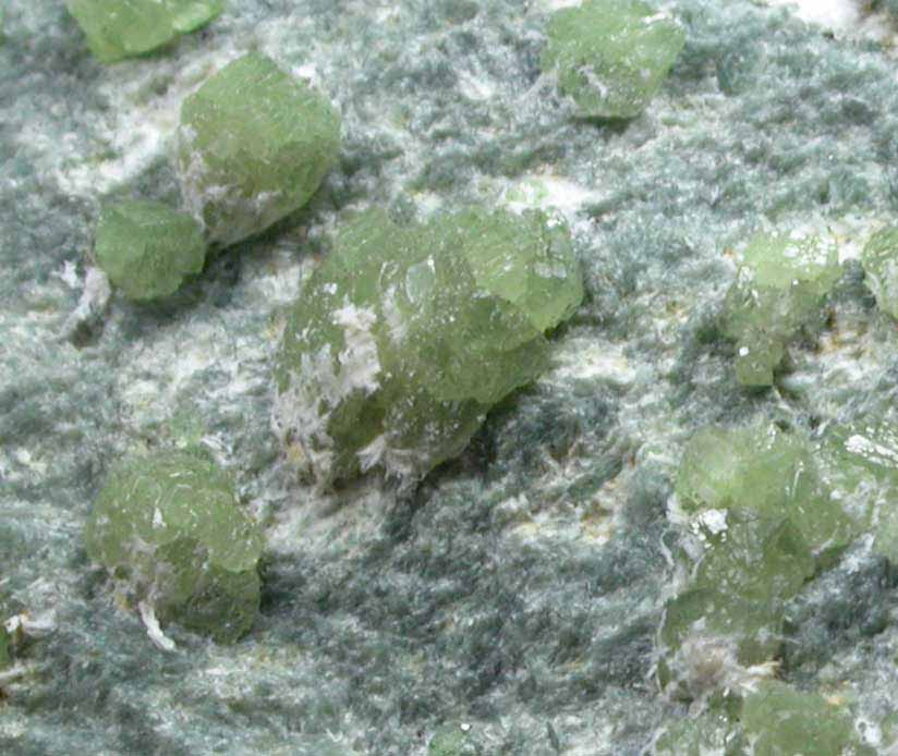 Andradite Garnet var. Demantoid from Val Malenco, Lombardi, Italy