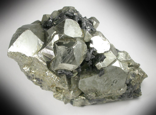 Pyrite and Enargite from Butte Mining District, Summit Valley, Silver Bow County, Montana